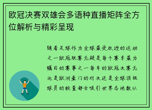 欧冠决赛双雄会多语种直播矩阵全方位解析与精彩呈现