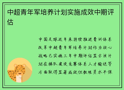 中超青年军培养计划实施成效中期评估